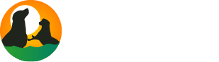 Animal Kingdom Resort